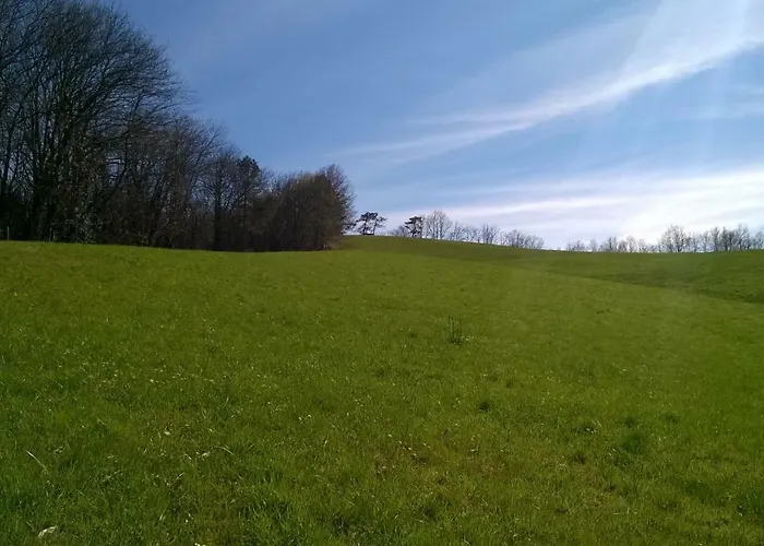 La Stanza Verde